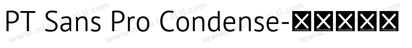 PT Sans Pro Condense字体转换